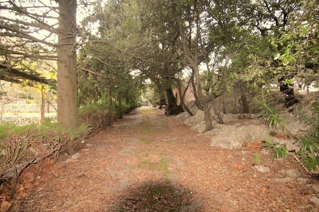 8 soveværelse Villa til salg i Escorca - € 6.500.000 (Ref: 7630332)