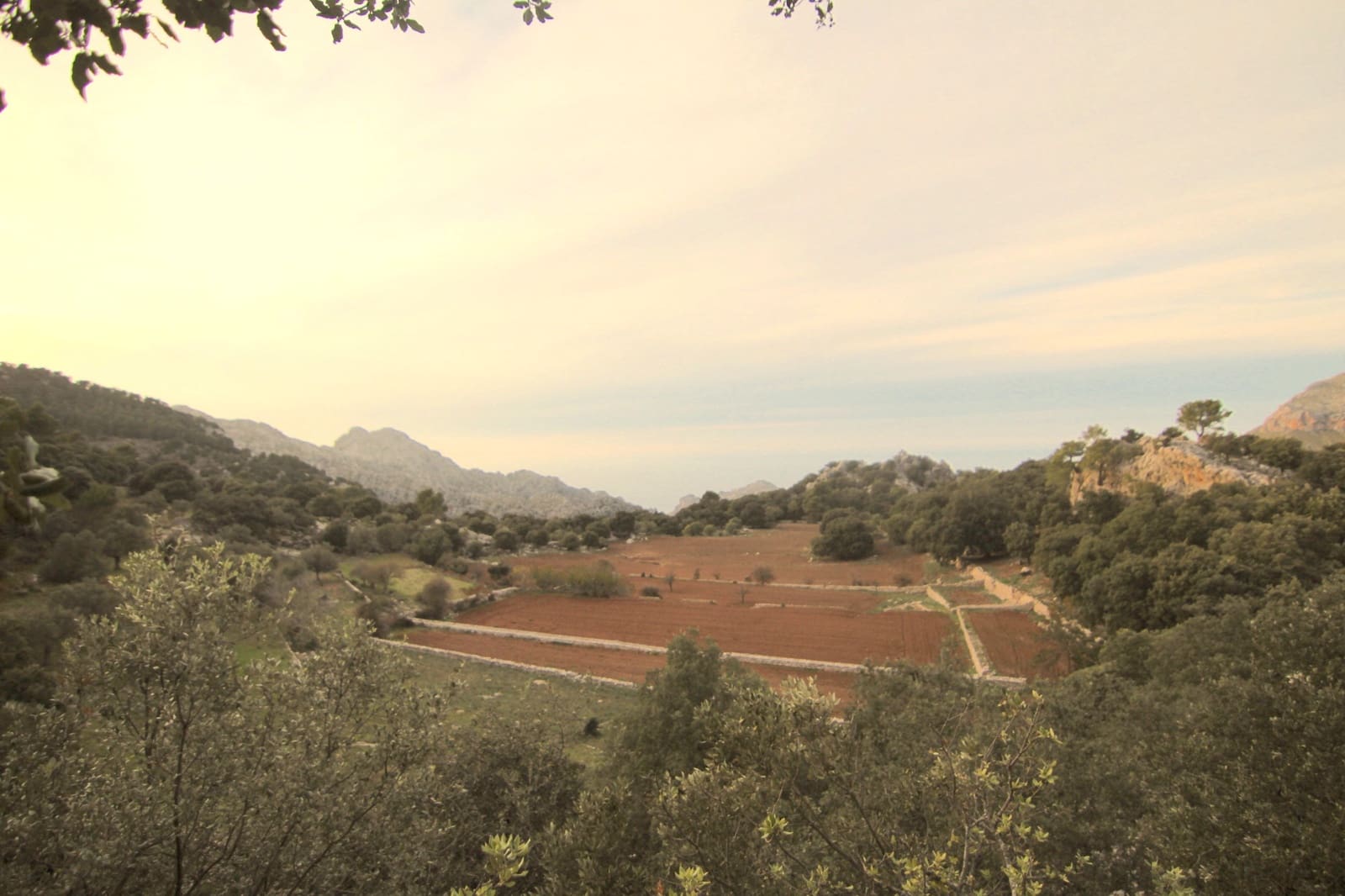 8 soveværelse Villa til salg i Escorca - € 6.500.000 (Ref: 7630332)