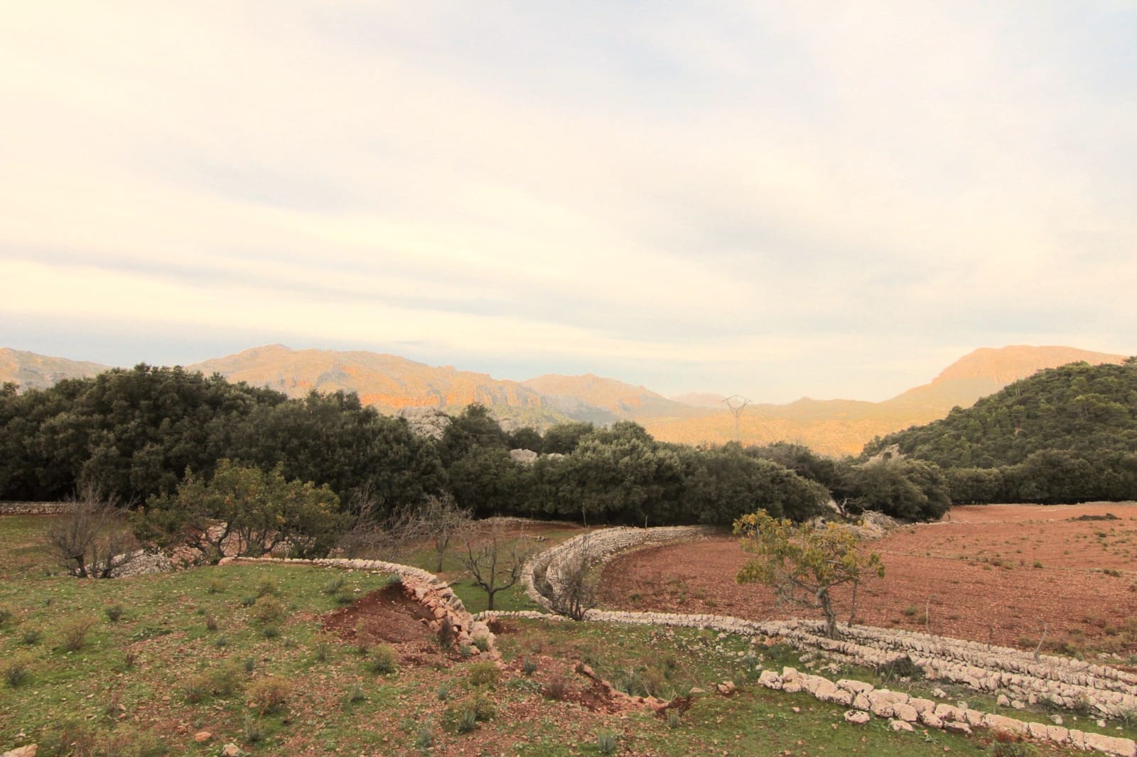 8 soveværelse Villa til salg i Escorca - € 6.500.000 (Ref: 7630332)