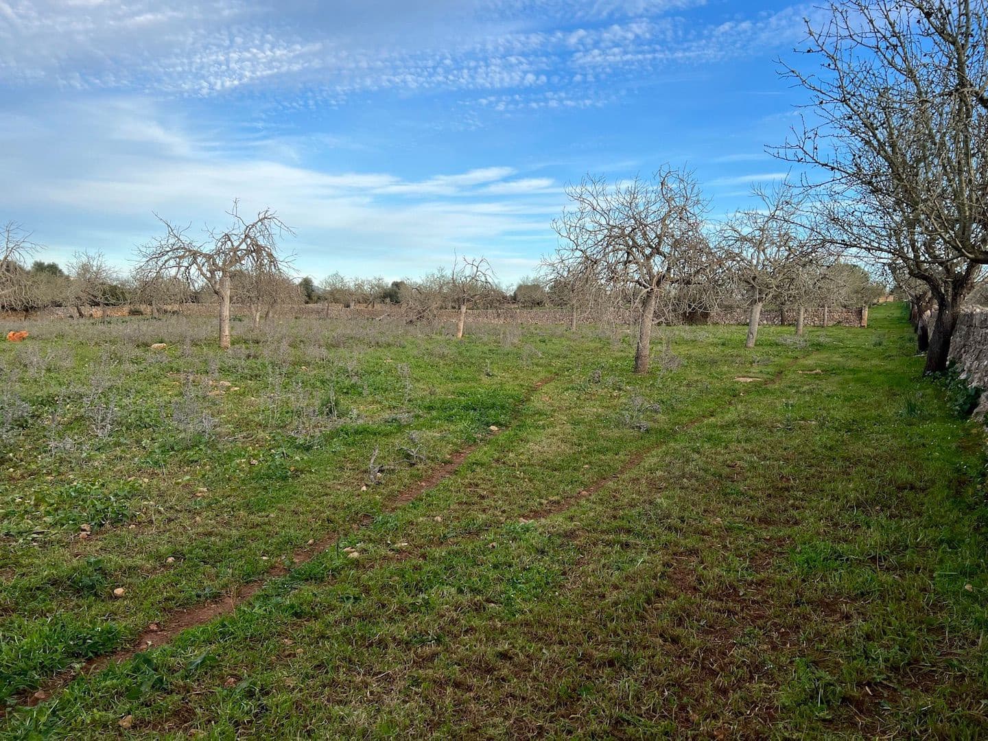 Grunde uden byggetilladelser til salg i Ariany - € 320.000 (Ref: 8148012)