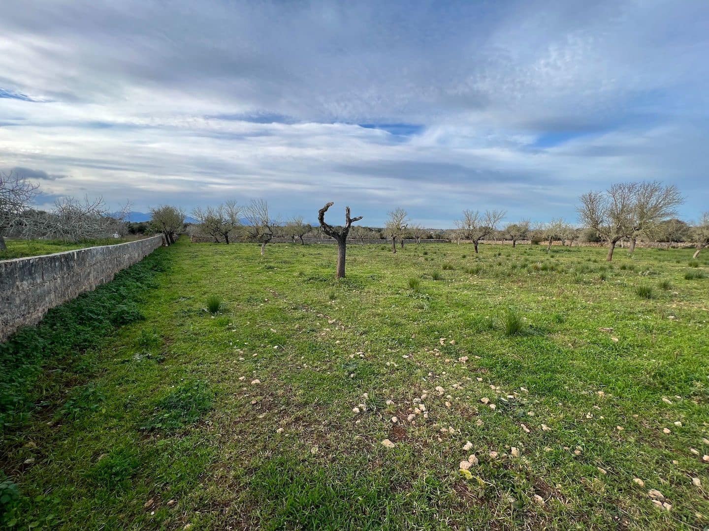 Grunde uden byggetilladelser til salg i Ariany - € 320.000 (Ref: 8148012)