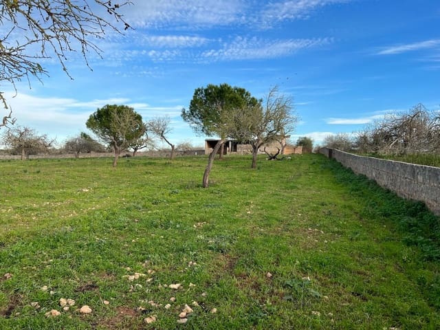 Mark till salu i Ariany - 320 000 € (Ref: 8148012)