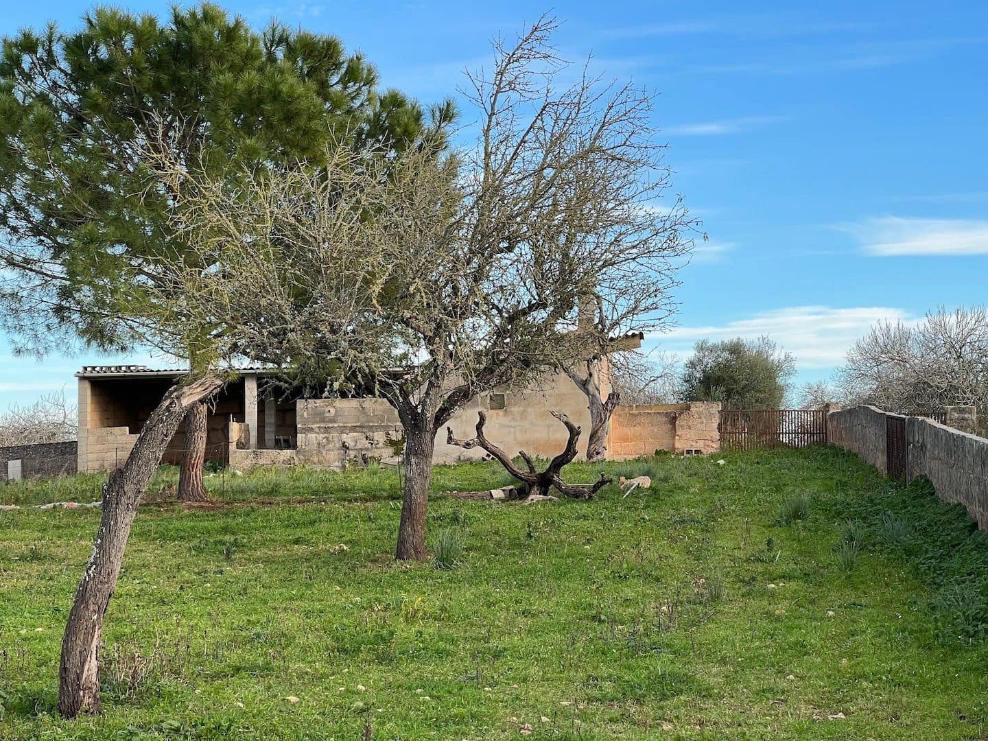 Grunde uden byggetilladelser til salg i Ariany - € 320.000 (Ref: 8148012)