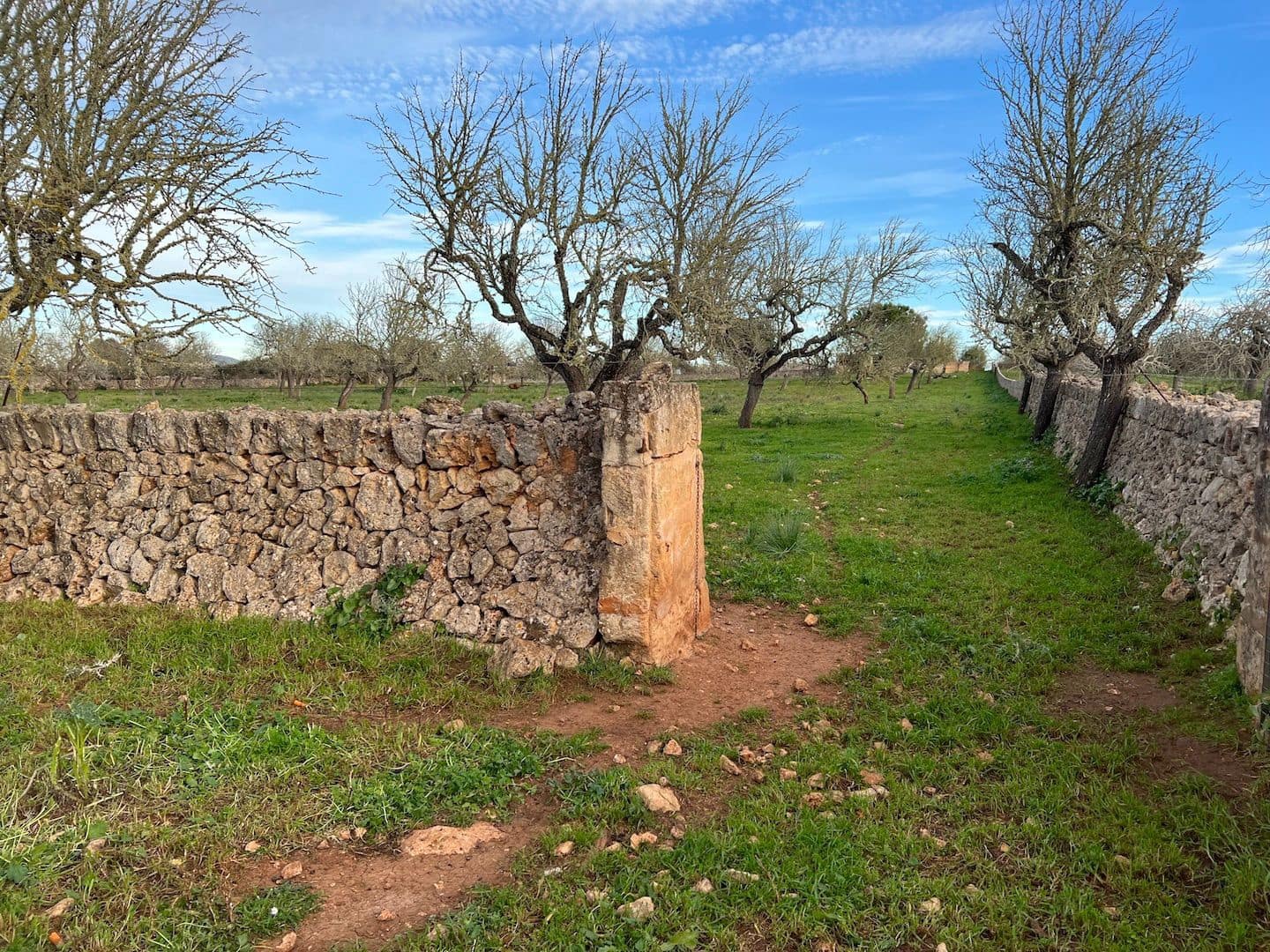 Grunde uden byggetilladelser til salg i Ariany - € 320.000 (Ref: 8148012)