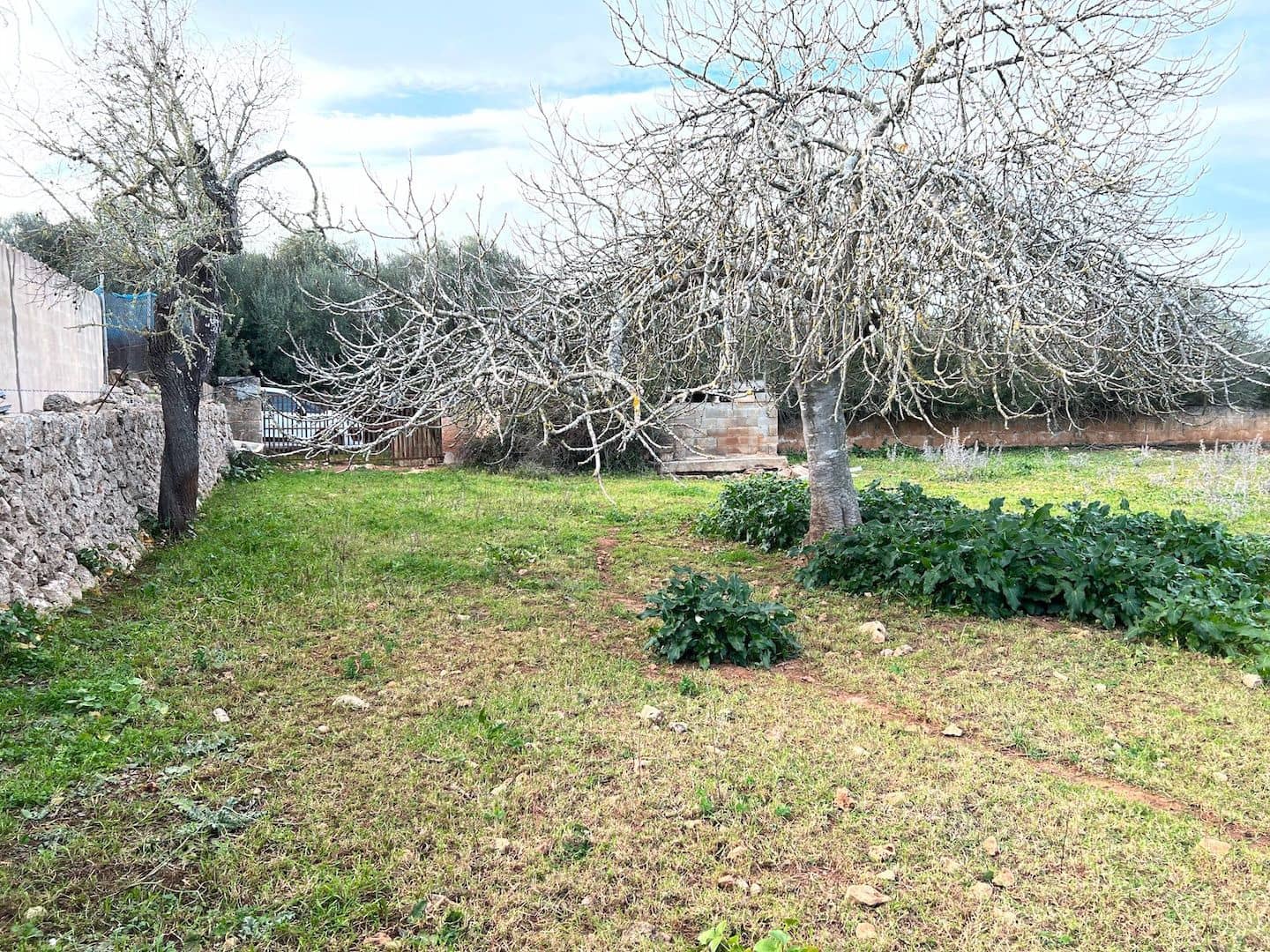 Grunde uden byggetilladelser til salg i Ariany - € 320.000 (Ref: 8148012)