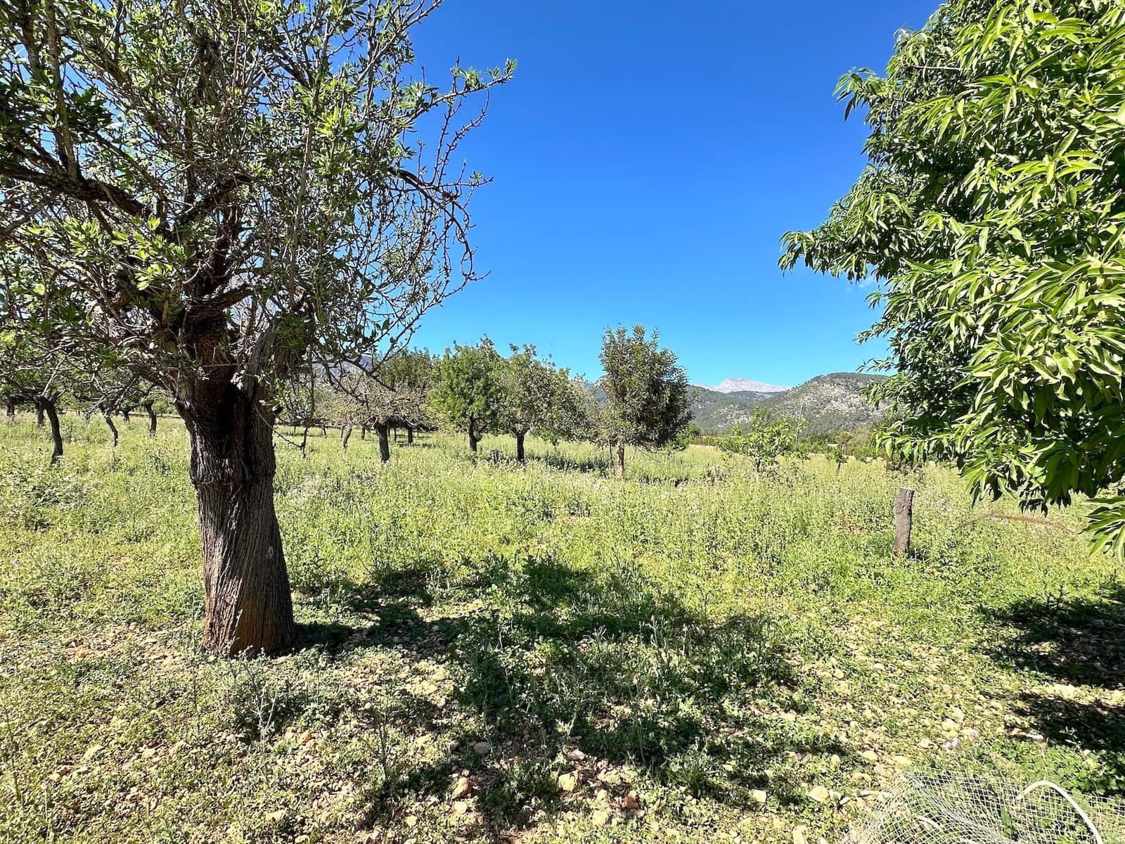 4 slaapkamer Villa te koop in Binissalem met zwembad garage - € 1.600.000 (Ref: 8287257)