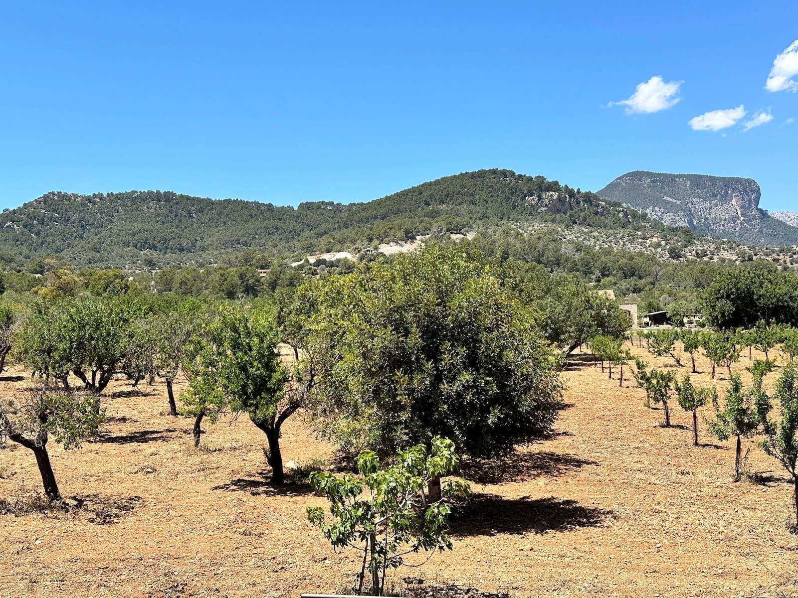 4 slaapkamer Villa te koop in Binissalem met zwembad garage - € 1.600.000 (Ref: 8287257)