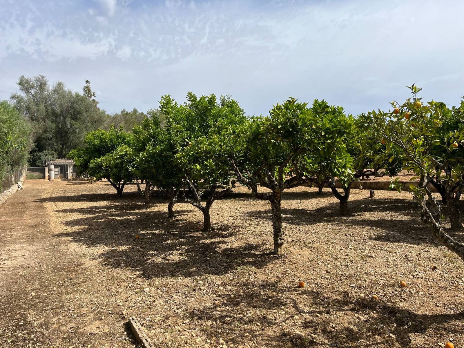 Chalet de 5 habitaciones en Sencelles en venta con piscina - 1.195.000 € (Ref: 8334503)