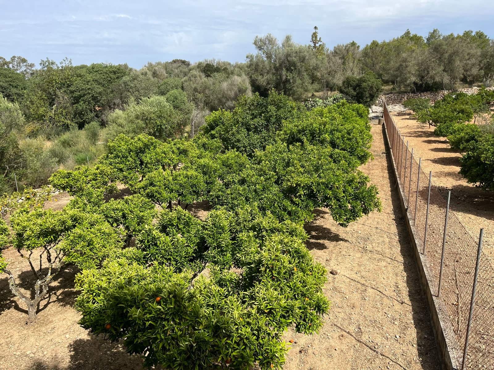 Chalet de 5 habitaciones en Sencelles en venta con piscina - 1.195.000 € (Ref: 8334503)