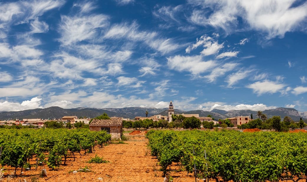 2 slaapkamer Appartement te koop in Santa Maria del Cami met zwembad - € 815.000 (Ref: 8411269)