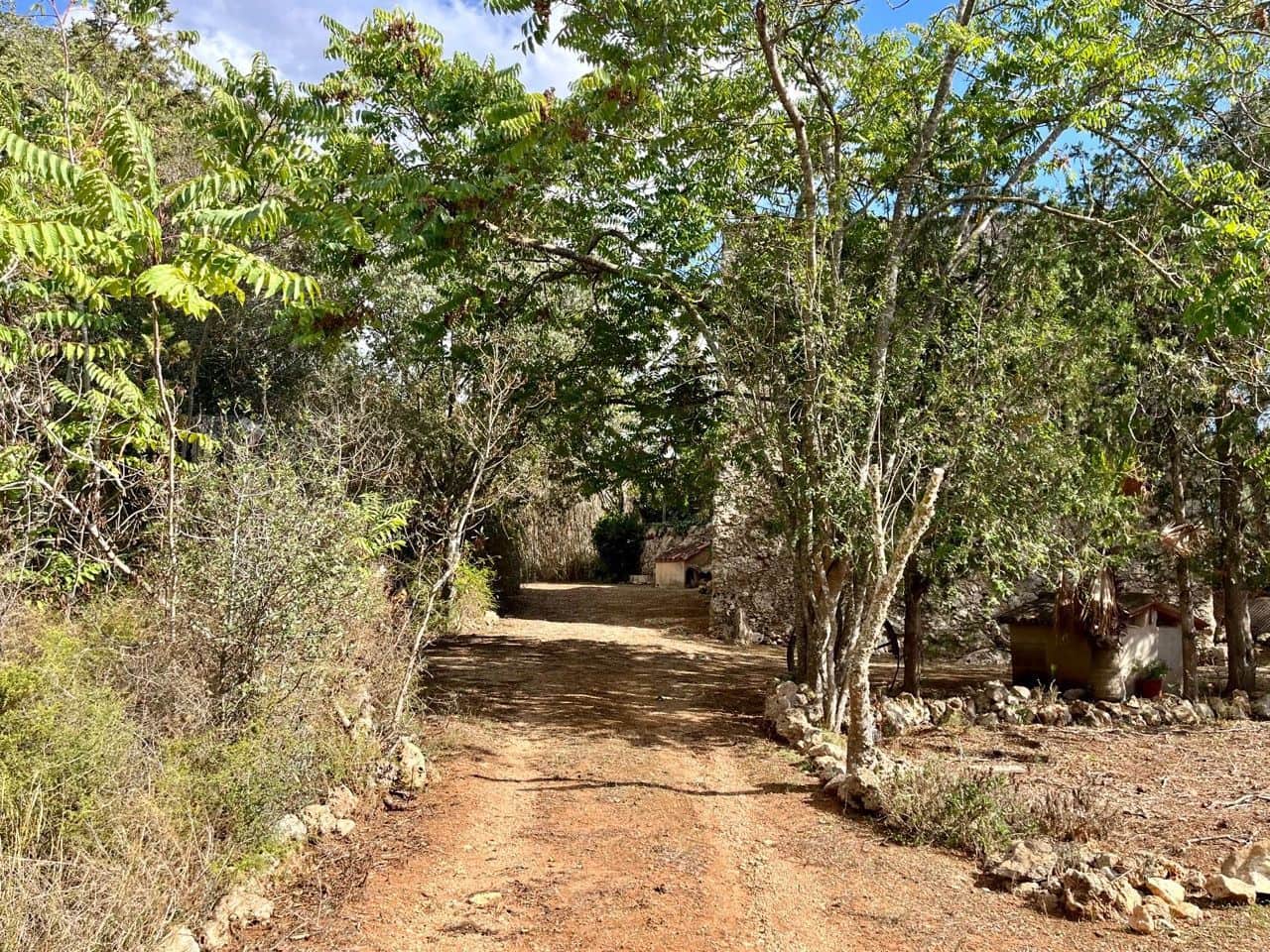 Teren niezagospodarowany na sprzedaż w Sencelles - 590 000 € (Ref: 8518916)