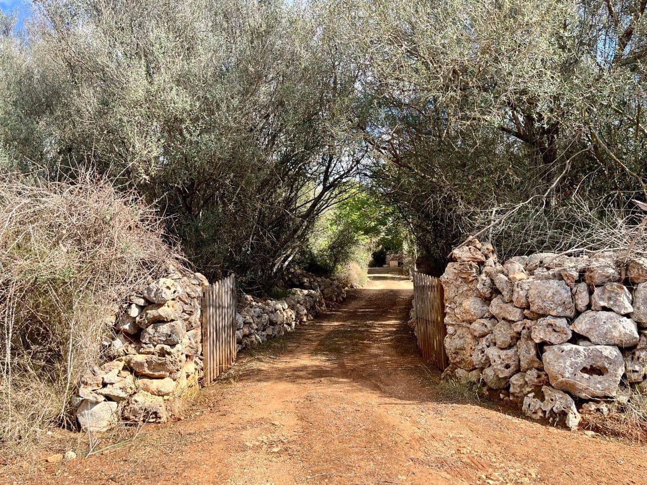 Teren niezagospodarowany na sprzedaż w Sencelles - 590 000 € (Ref: 8518916)