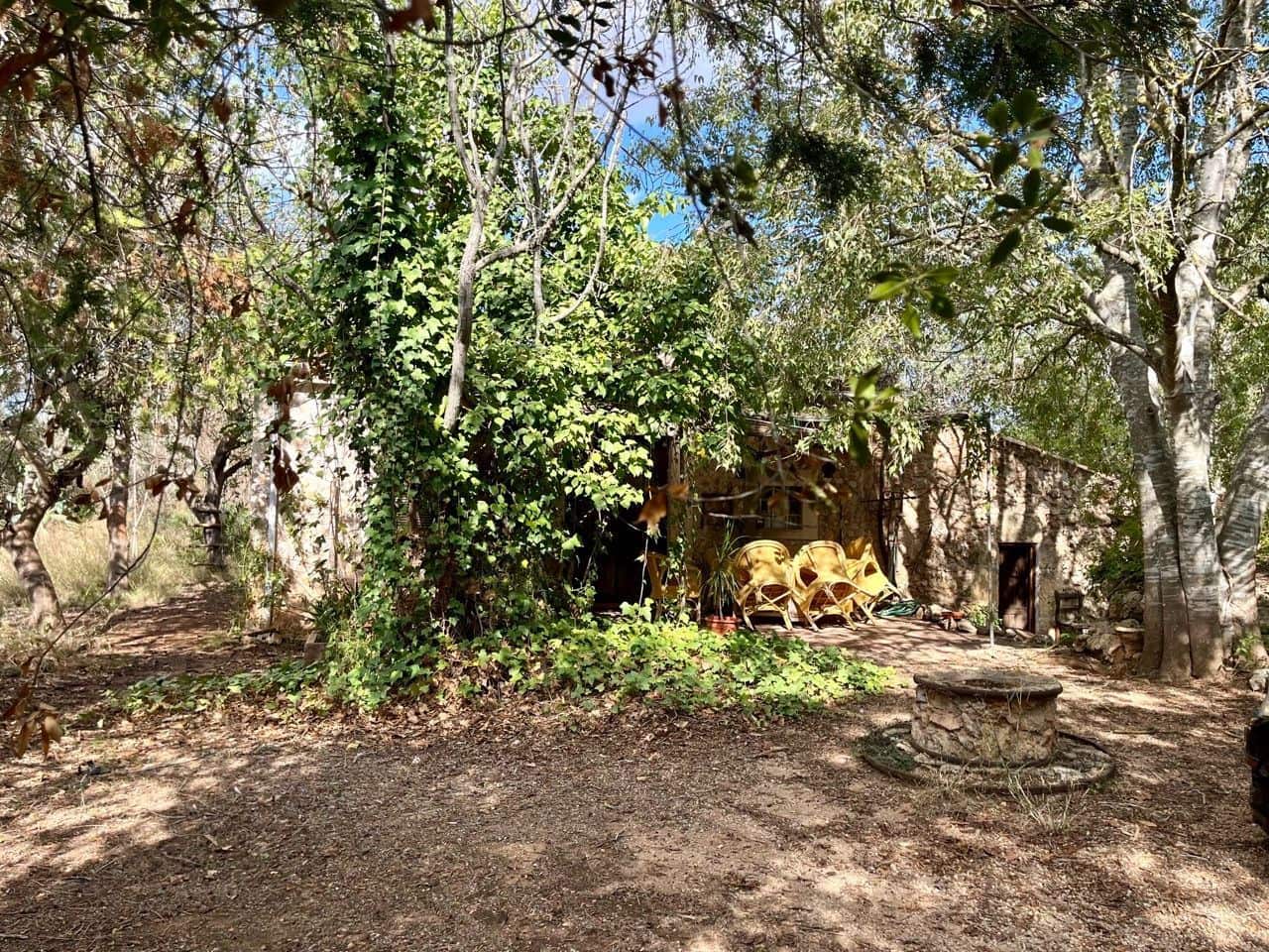 Teren niezagospodarowany na sprzedaż w Sencelles - 590 000 € (Ref: 8518916)