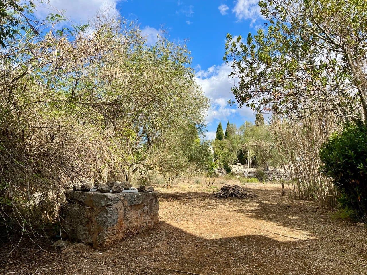 Teren niezagospodarowany na sprzedaż w Sencelles - 590 000 € (Ref: 8518916)