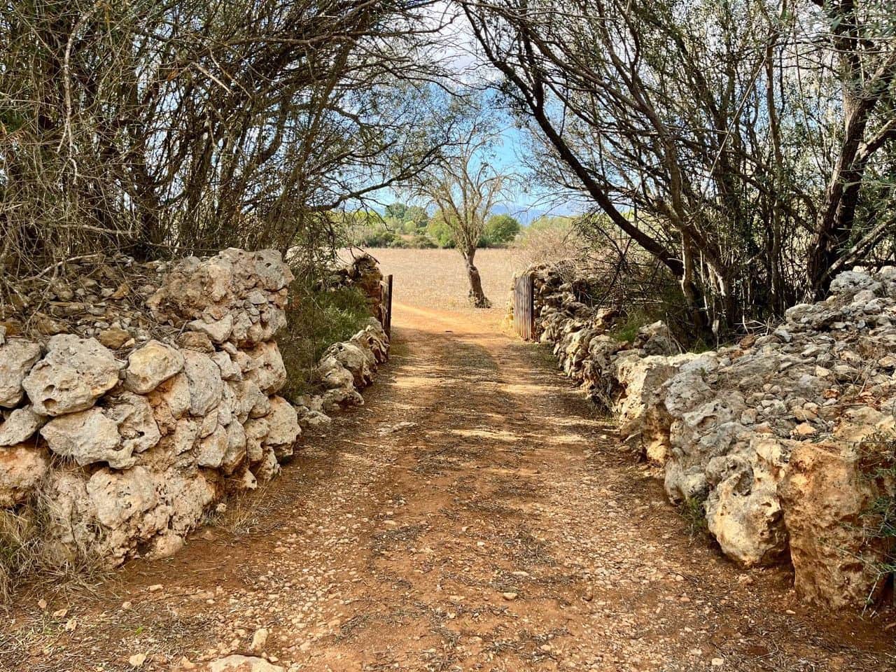 Teren niezagospodarowany na sprzedaż w Sencelles - 590 000 € (Ref: 8518916)