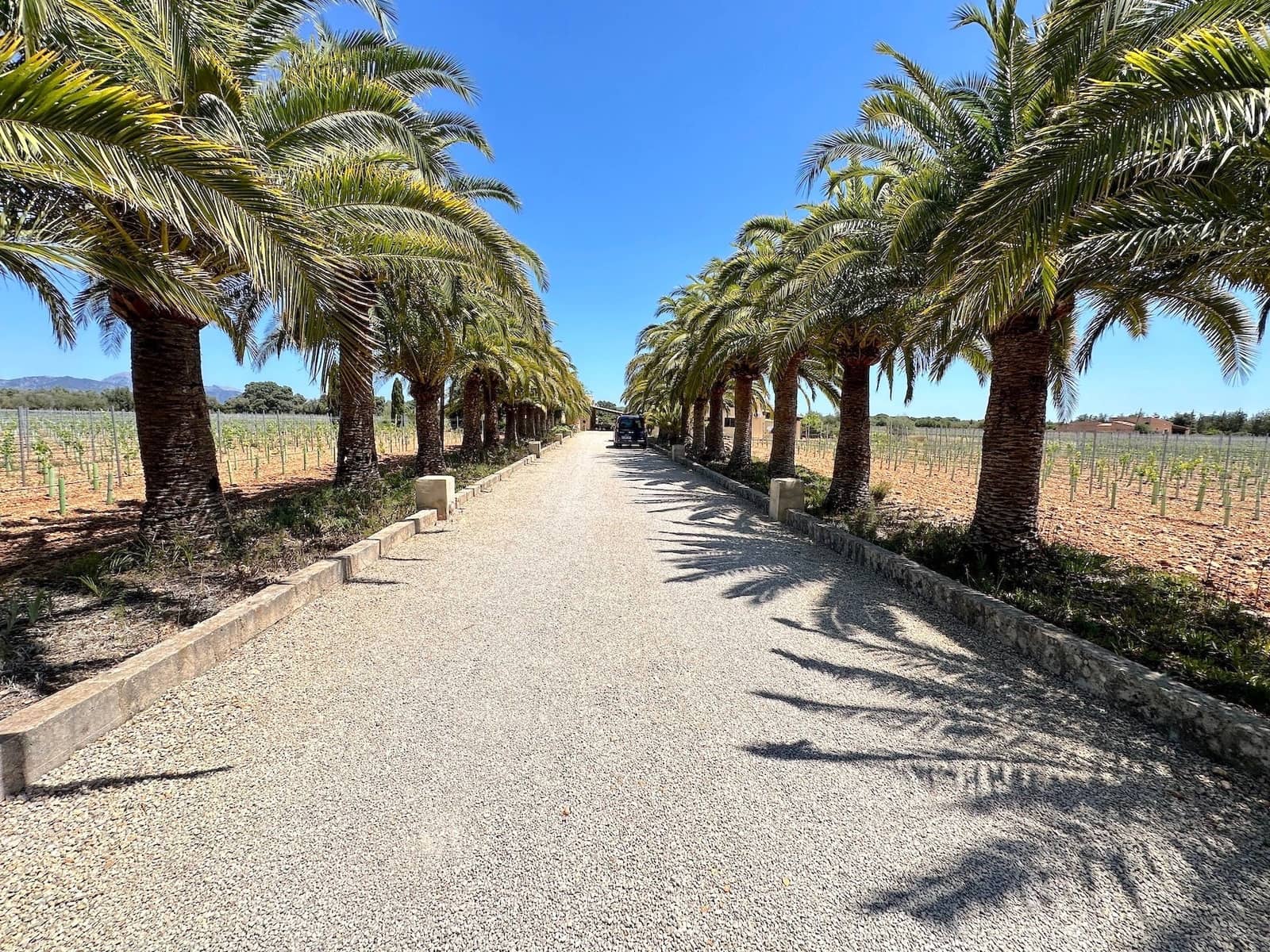 4 soveværelse Villa til salg i Binissalem med swimmingpool garage - € 1.800.000 (Ref: 8862409)