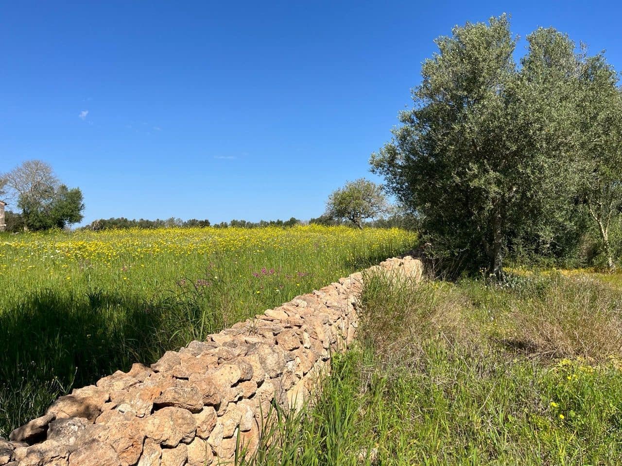 Grunde uden byggetilladelser til salg i Algaida - € 680.000 (Ref: 8917689)