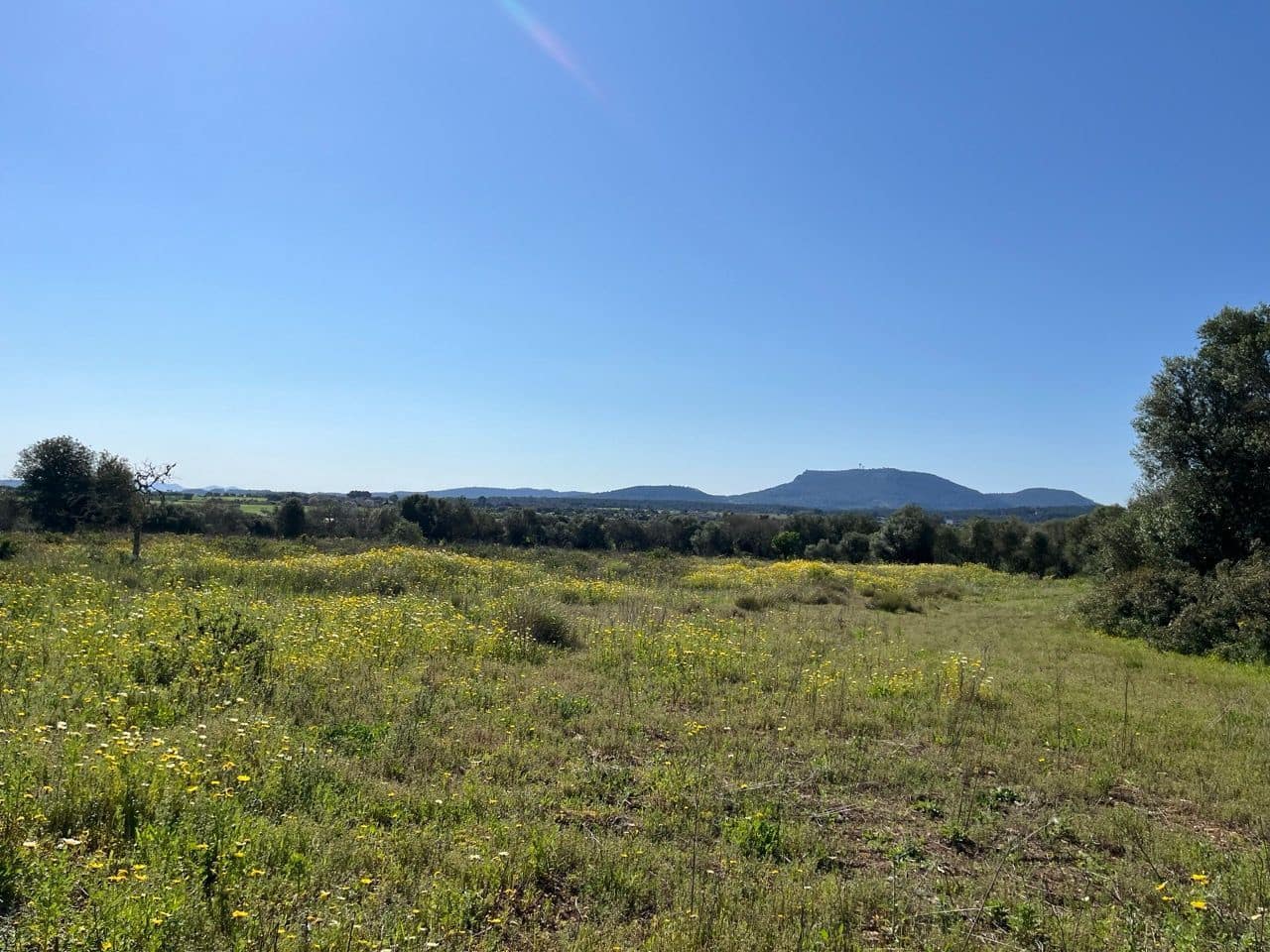 Grunde uden byggetilladelser til salg i Algaida - € 680.000 (Ref: 8917689)