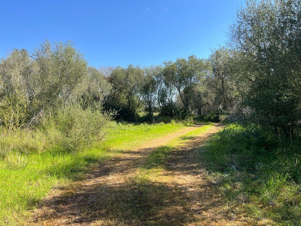 Grunde uden byggetilladelser til salg i Algaida - € 680.000 (Ref: 8917689)