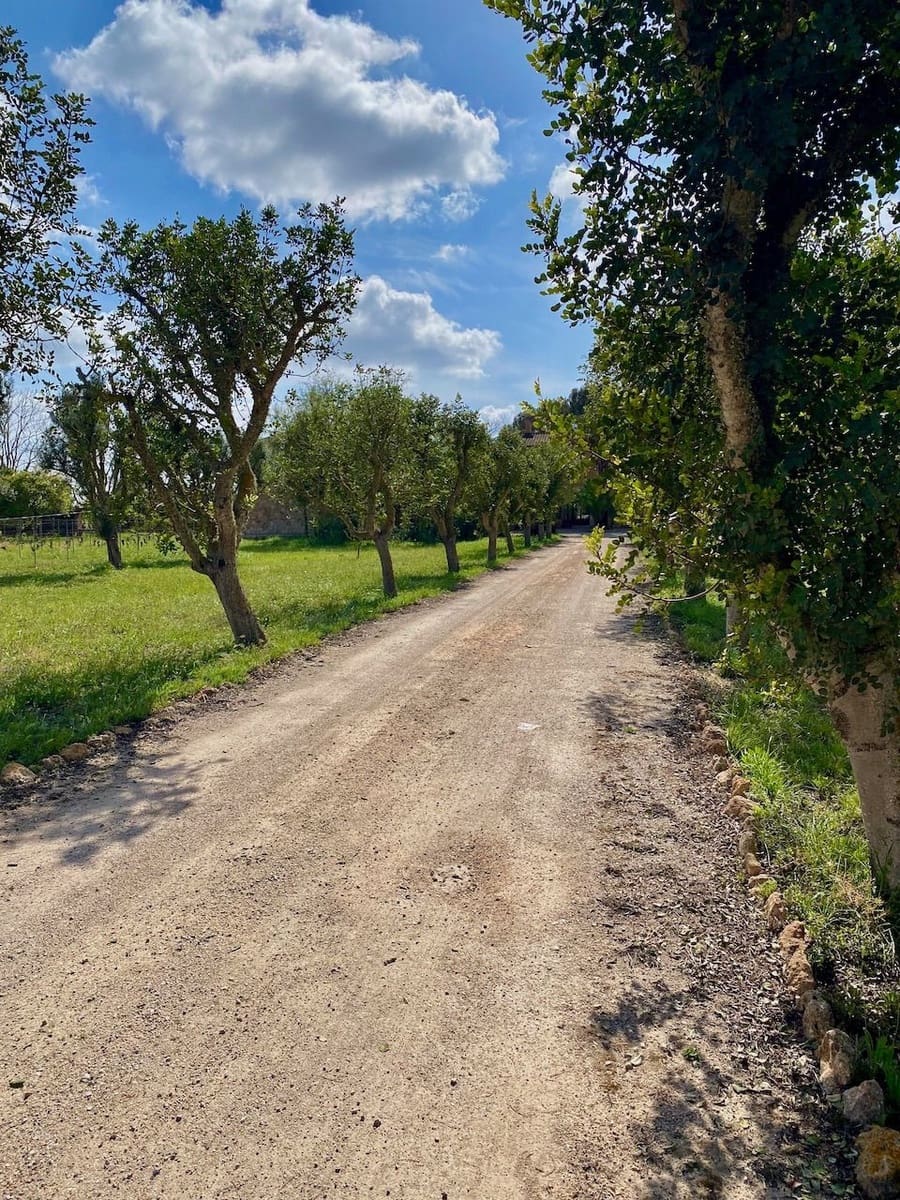 8 sovrum Villa till salu i Campos - 2 430 000 € (Ref: 8934814)