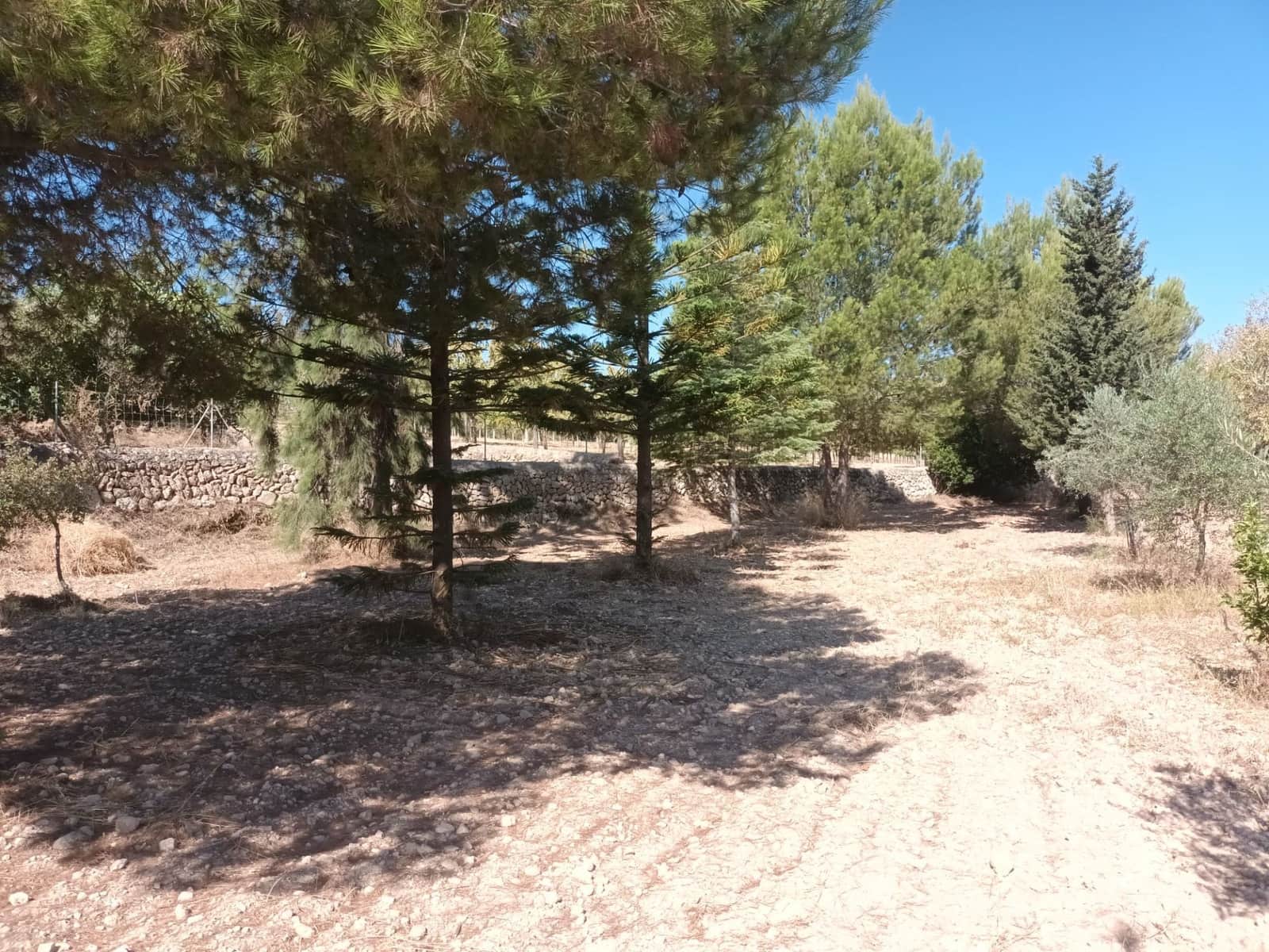 4 soverom Villa til salgs i Santa Maria del Cami med svømmebasseng garasje - € 3 750 000 (Ref: 9057332)