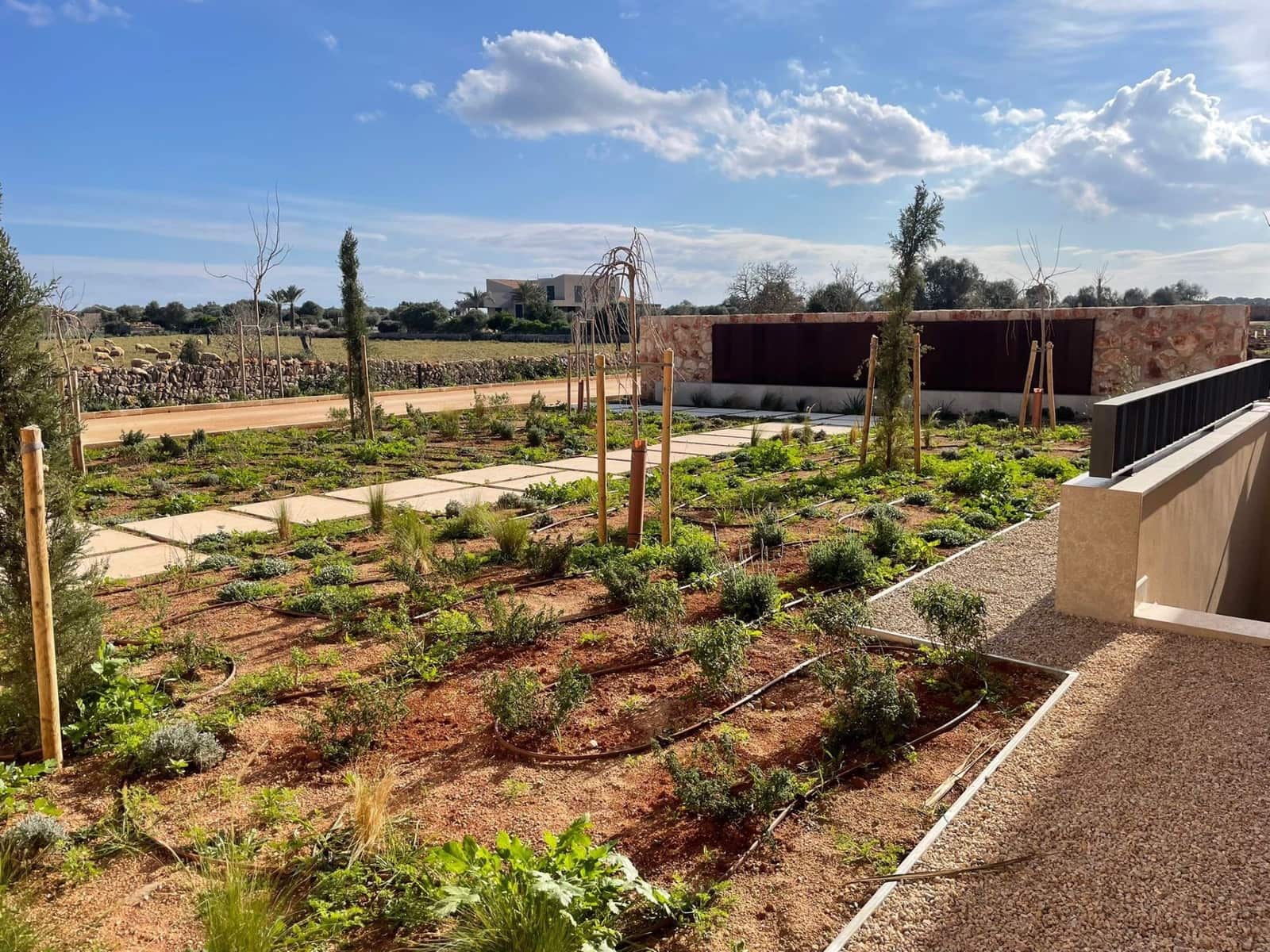 4 slaapkamer Villa te koop in Santanyi met zwembad garage - € 7.500.000 (Ref: 9189029)