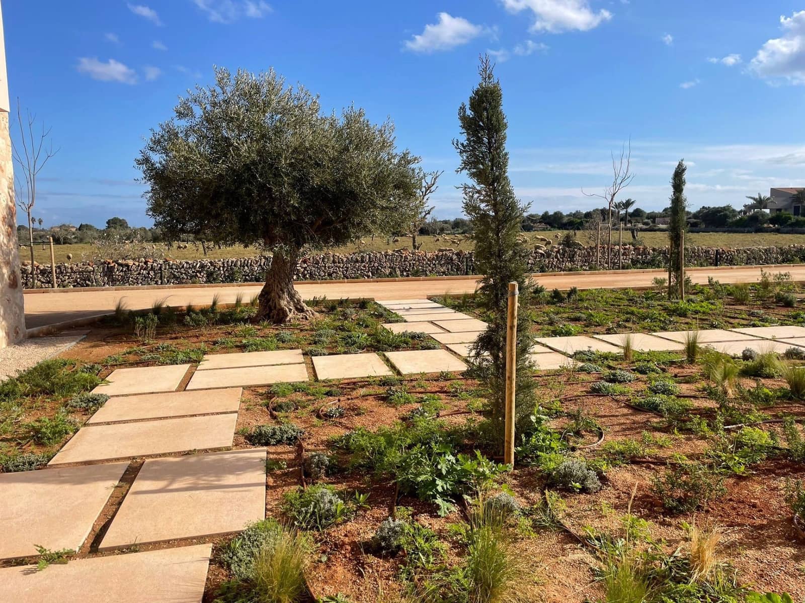 4 slaapkamer Villa te koop in Santanyi met zwembad garage - € 7.500.000 (Ref: 9189029)