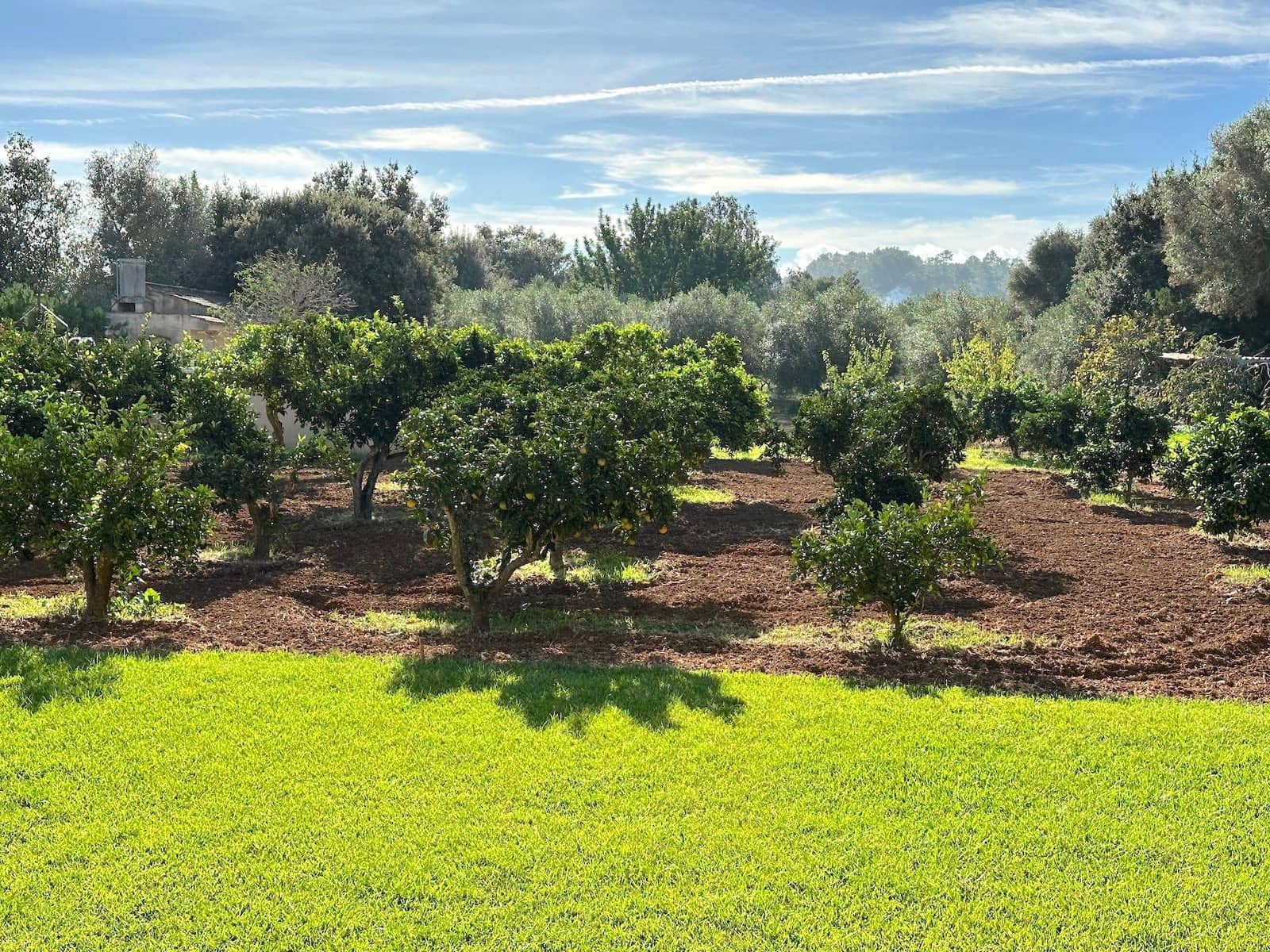 4 makuuhuone Huvila myytävänä paikassa Selva mukana uima-altaan 
autotalli - 2 500 000 € (Ref: 9353200)