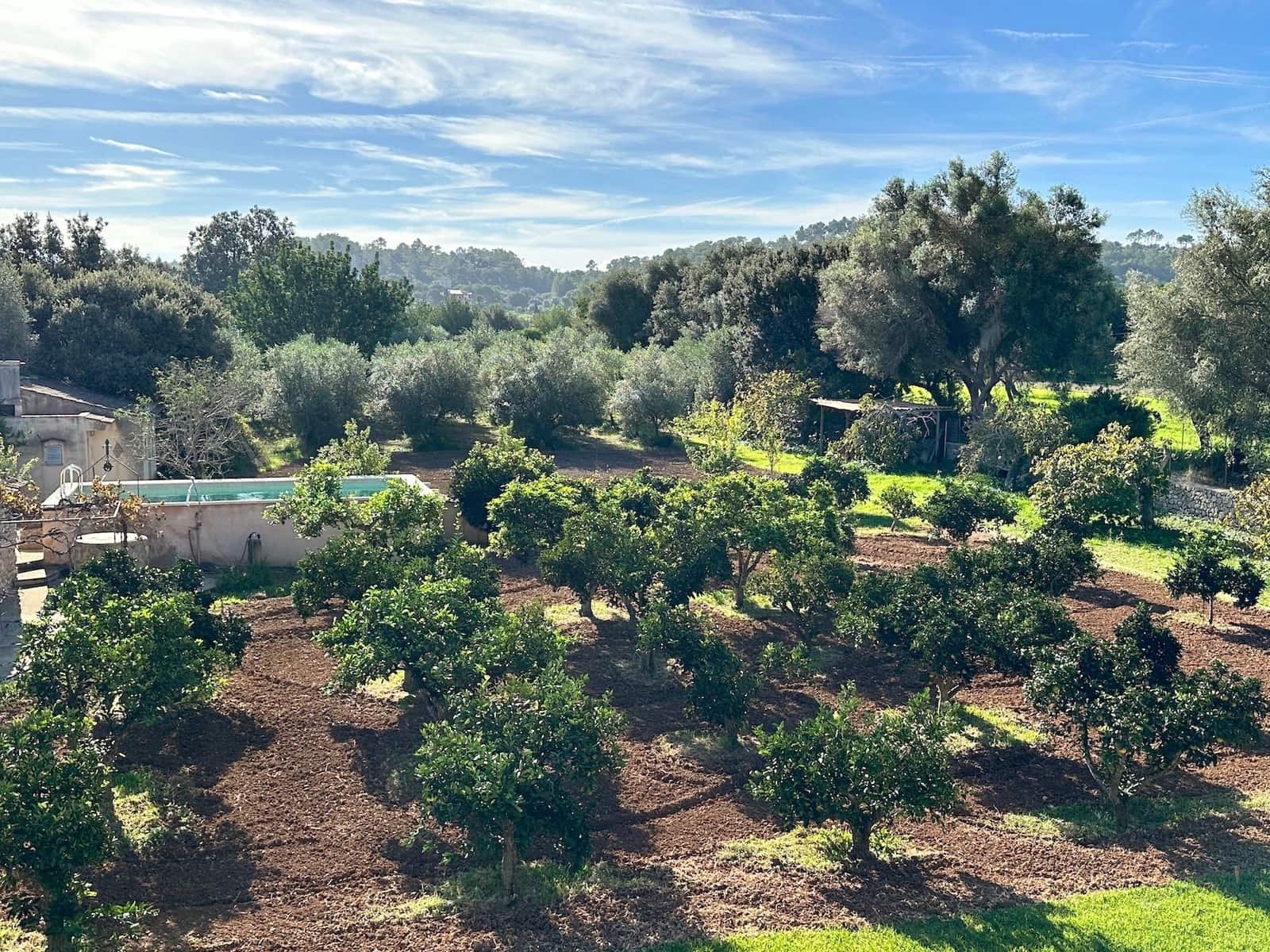 4 makuuhuone Huvila myytävänä paikassa Selva mukana uima-altaan 
autotalli - 2 500 000 € (Ref: 9353200)