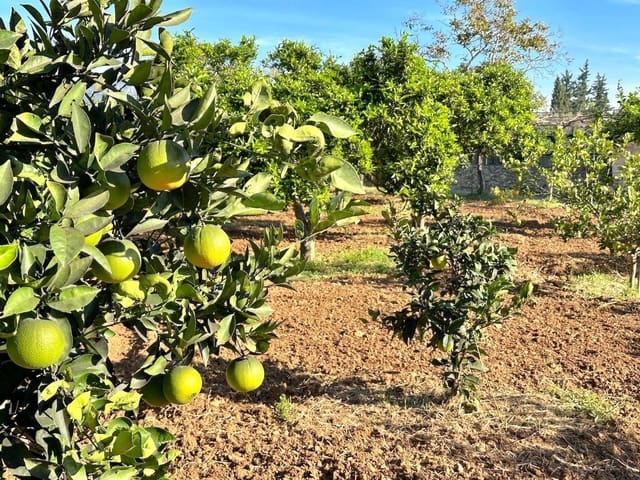 Chalet de 4 habitaciones en Selva en venta con piscina garaje - 2.500.000 € (Ref: 9353200)