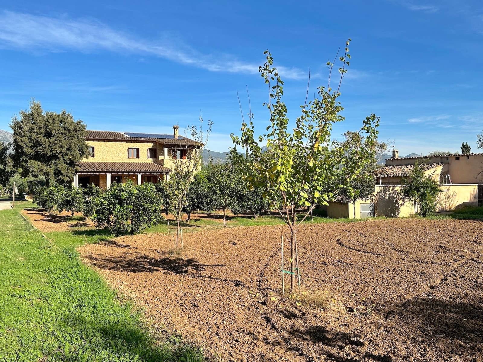 4 makuuhuone Huvila myytävänä paikassa Selva mukana uima-altaan 
autotalli - 2 500 000 € (Ref: 9353200)