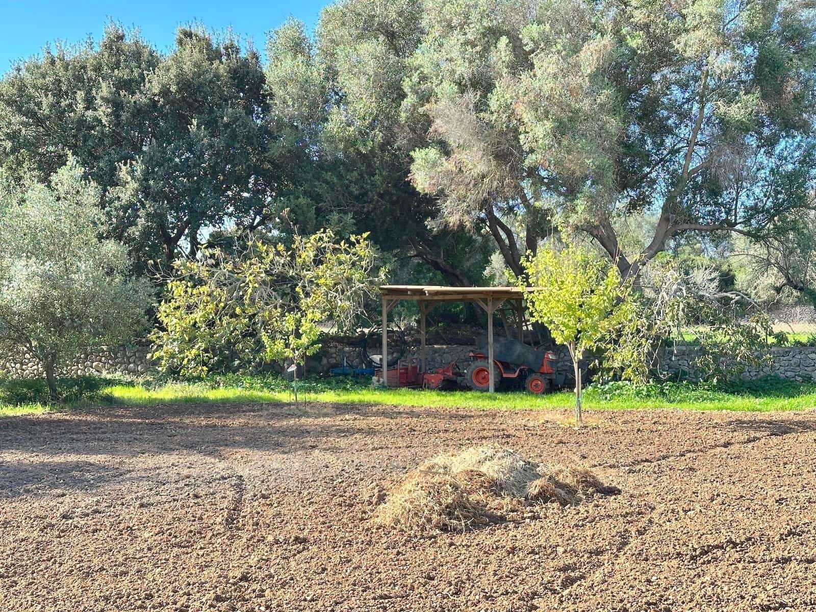 4 makuuhuone Huvila myytävänä paikassa Selva mukana uima-altaan 
autotalli - 2 500 000 € (Ref: 9353200)