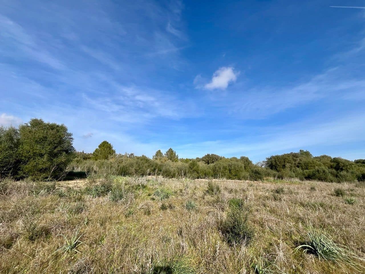 Landgrundstück zu verkaufen in Sencelles - 249.000 € (Ref: 9520605)