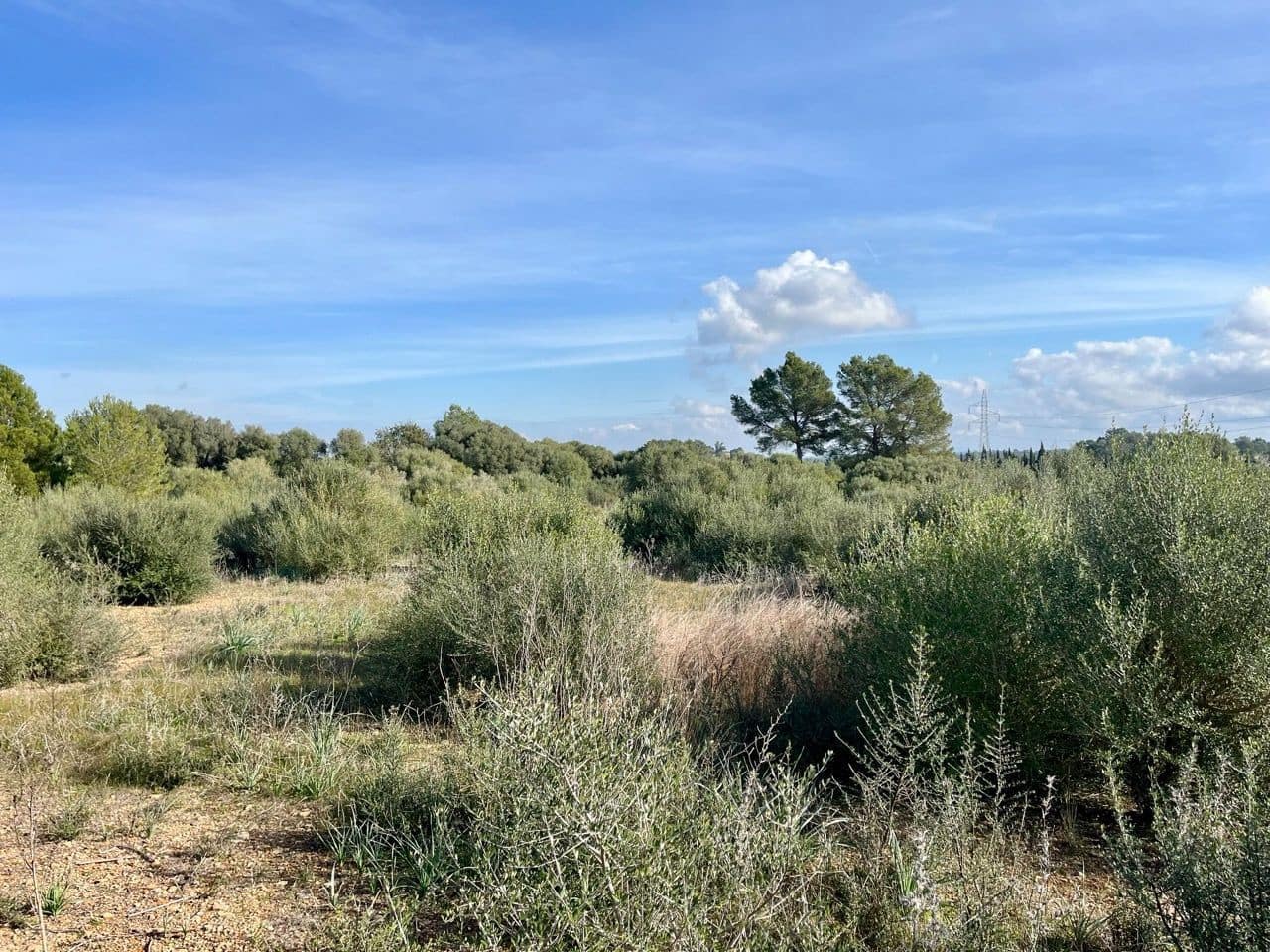 Landgrundstück zu verkaufen in Sencelles - 249.000 € (Ref: 9520605)