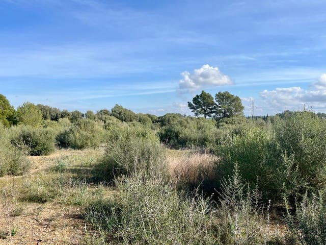 Undeveloped Land for sale in Sencelles - € 249,000 (Ref: 9520605)