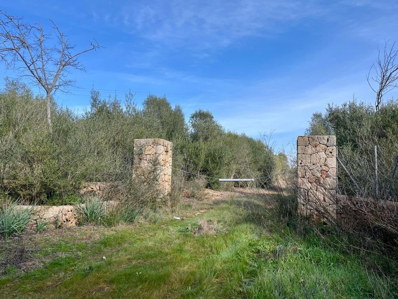 Landgrundstück zu verkaufen in Sencelles - 249.000 € (Ref: 9520605)