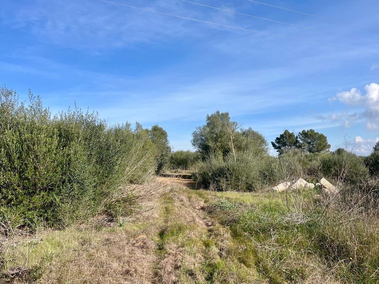 Landgrundstück zu verkaufen in Sencelles - 249.000 € (Ref: 9520605)