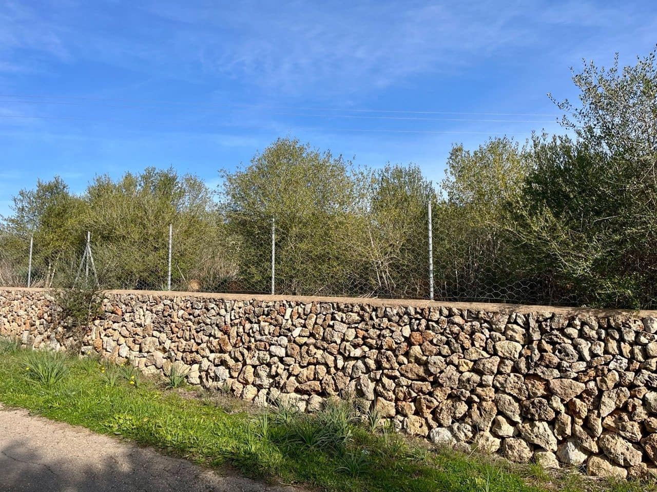 Landgrundstück zu verkaufen in Sencelles - 249.000 € (Ref: 9520605)