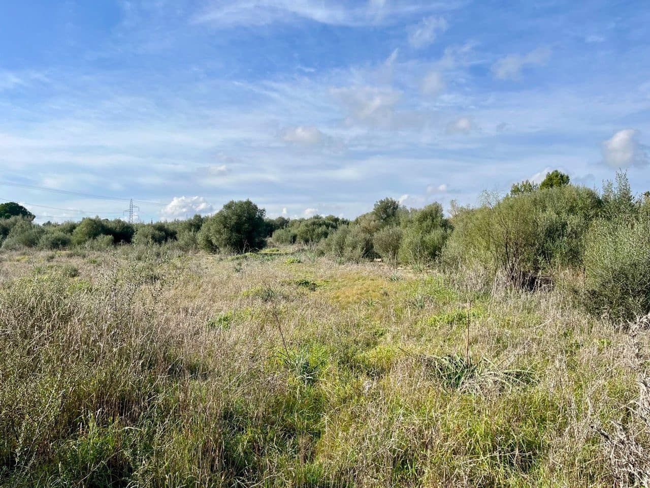 Landgrundstück zu verkaufen in Sencelles - 249.000 € (Ref: 9520605)
