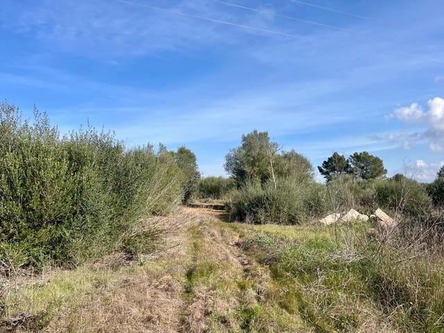 Undeveloped Land for sale in Sencelles - € 249,000 (Ref: 9520605)