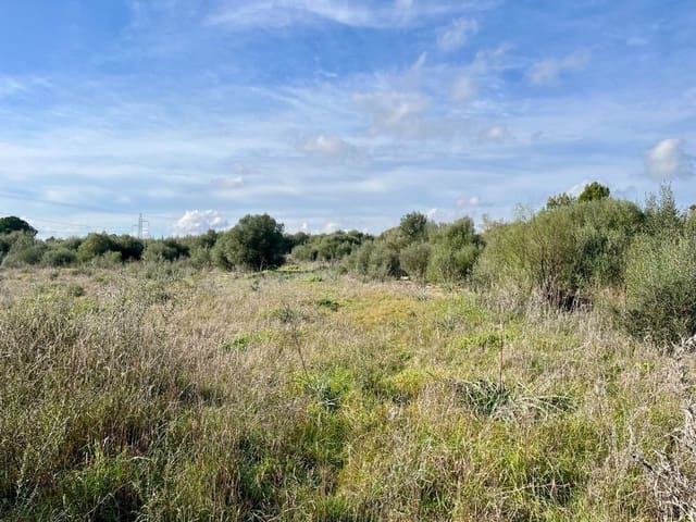 Undeveloped Land for sale in Sencelles - € 249,000 (Ref: 9520605)