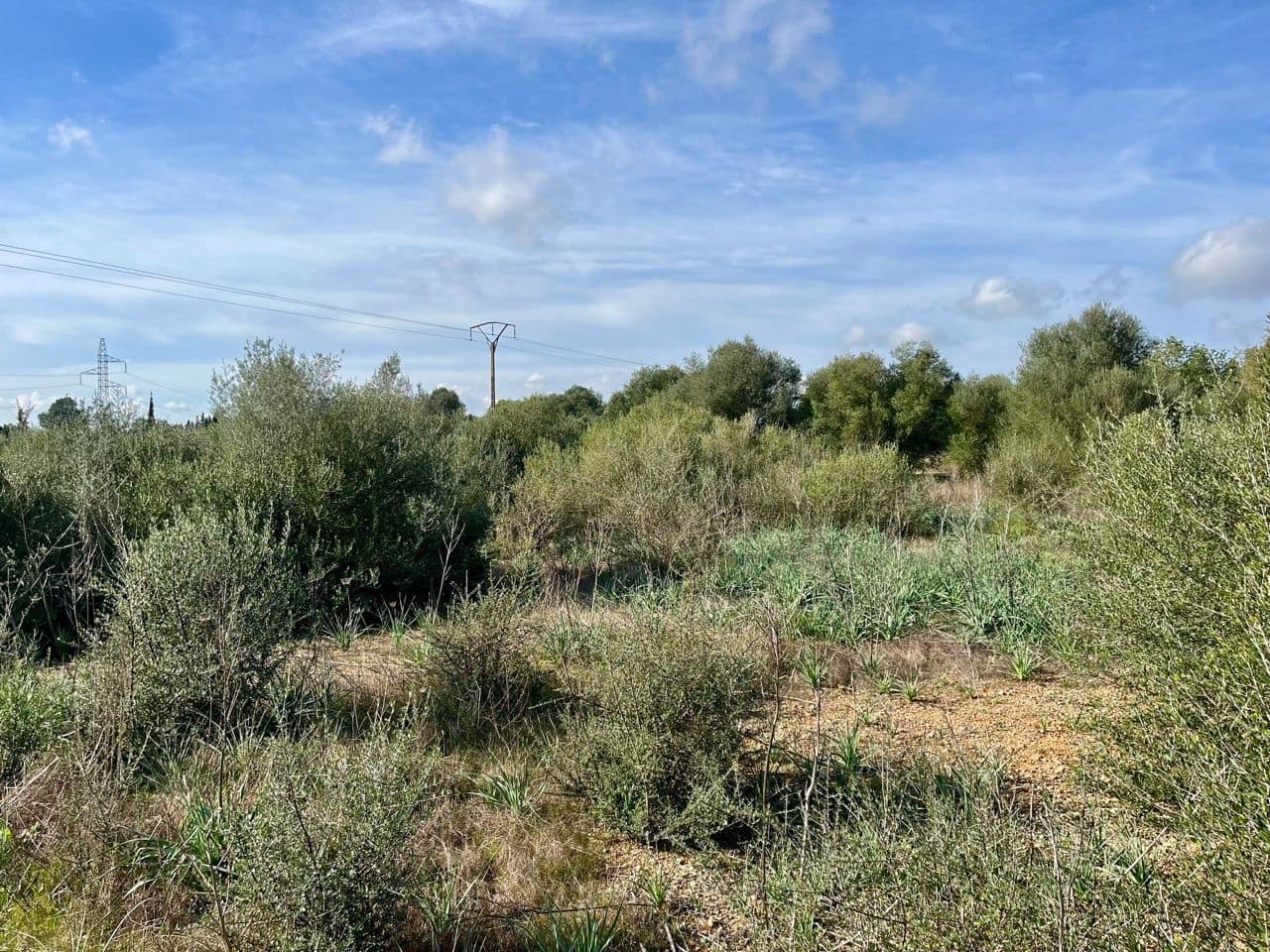 Landgrundstück zu verkaufen in Sencelles - 249.000 € (Ref: 9520605)