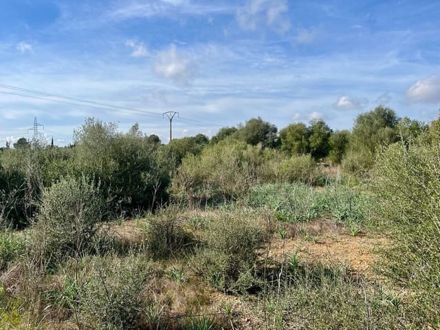 Undeveloped Land for sale in Sencelles - € 249,000 (Ref: 9520605)