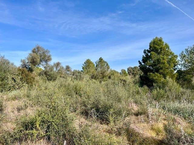 Undeveloped Land for sale in Sencelles - € 249,000 (Ref: 9520605)