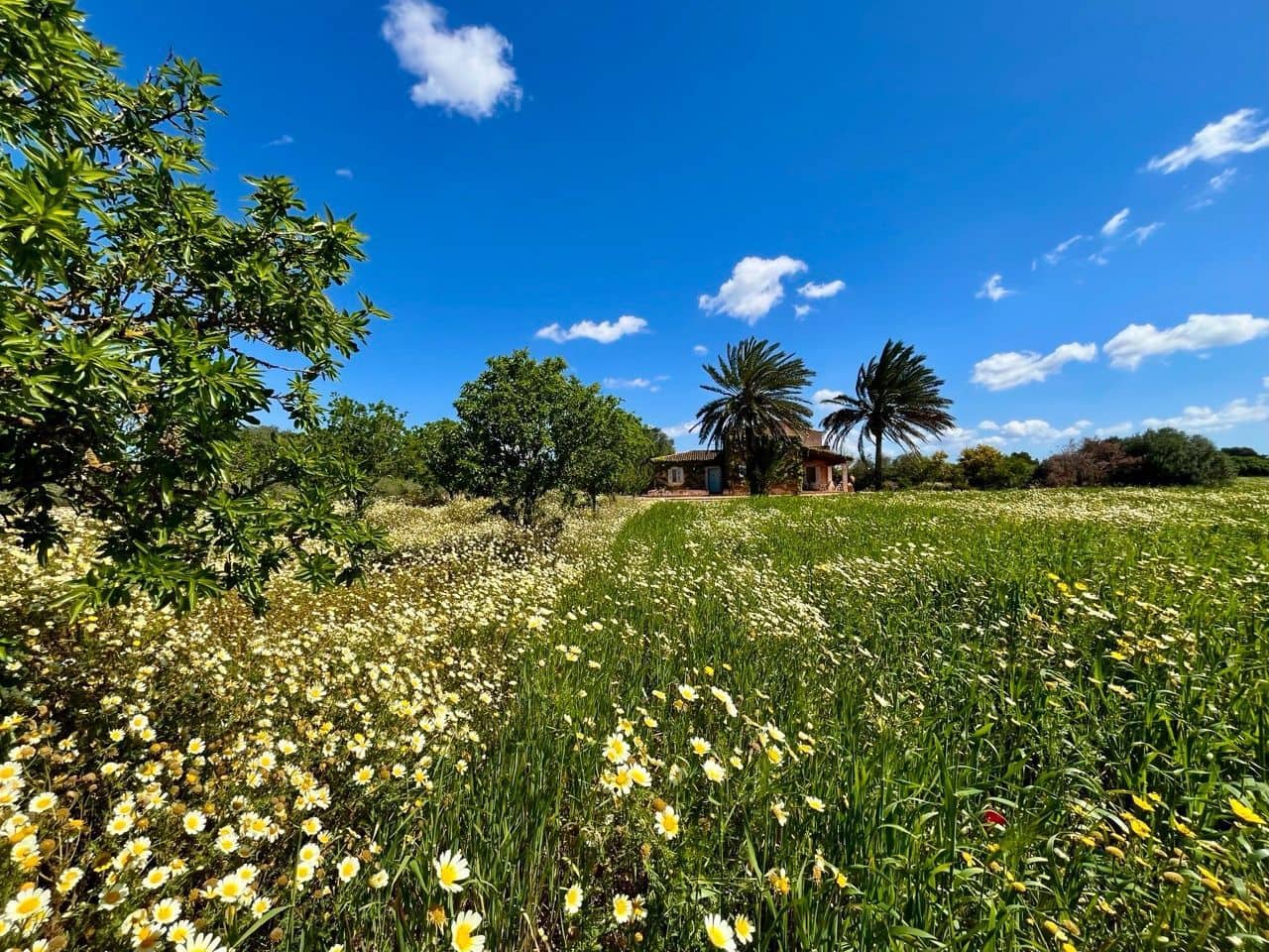 5 quarto Moradia para venda em Campos com piscina garagem - 2 450 000 € (Ref: 9770306)