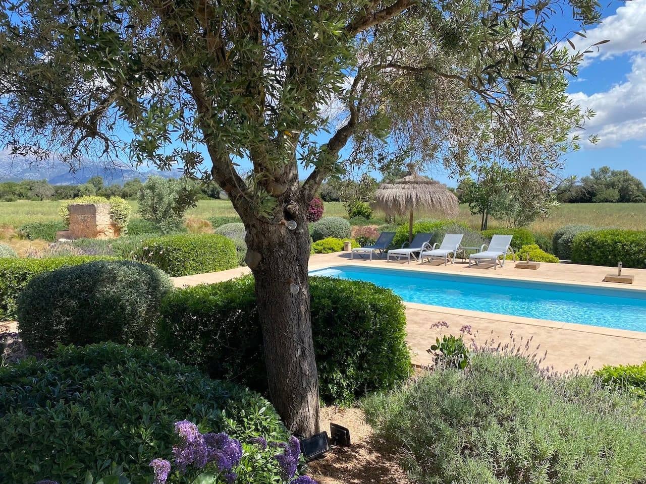3 bedroom Villa for sale in Binissalem with pool garage - € 3,200,000 (Ref: 9851543)