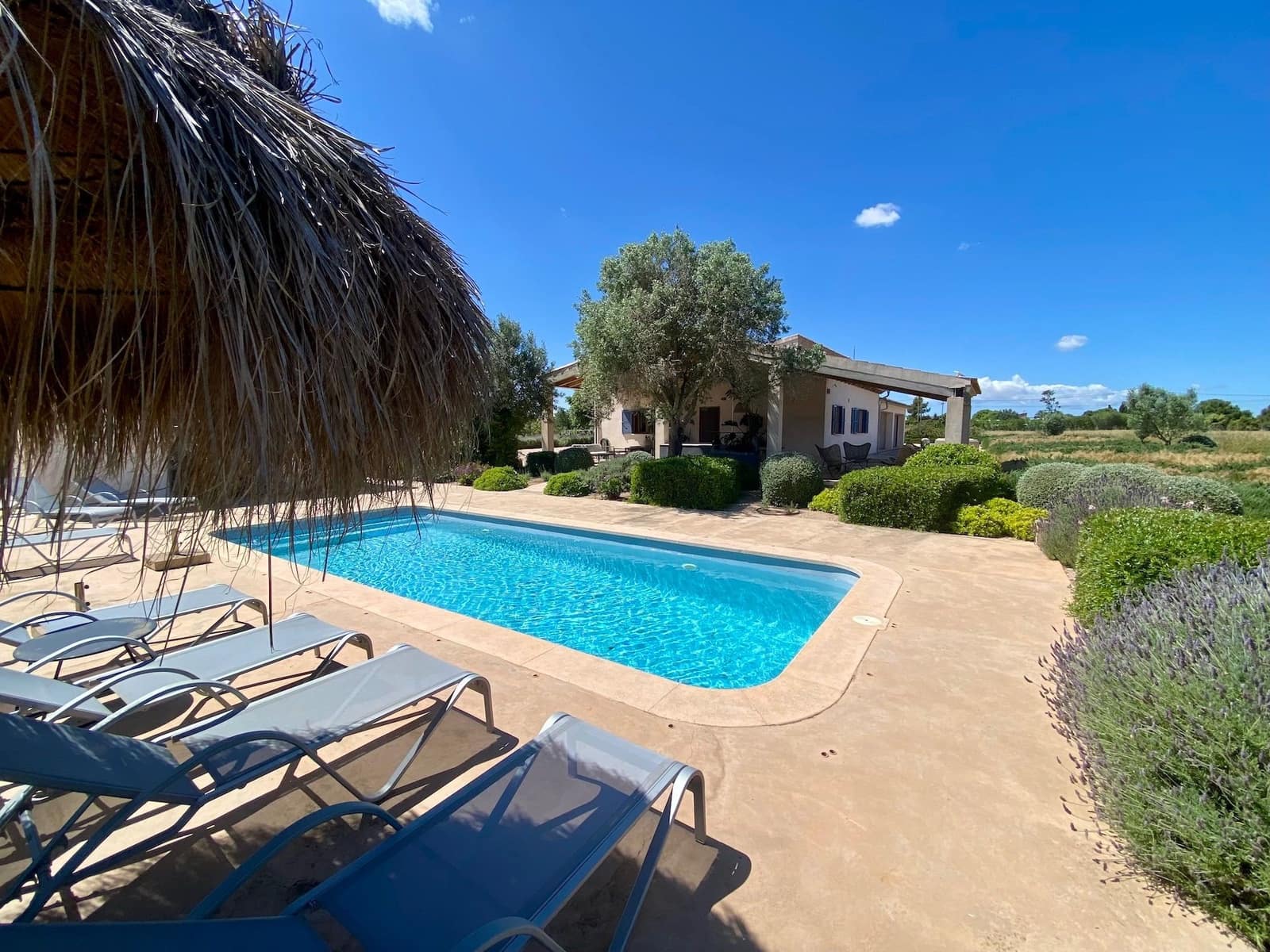 3 bedroom Villa for sale in Binissalem with pool garage - € 3,200,000 (Ref: 9851543)