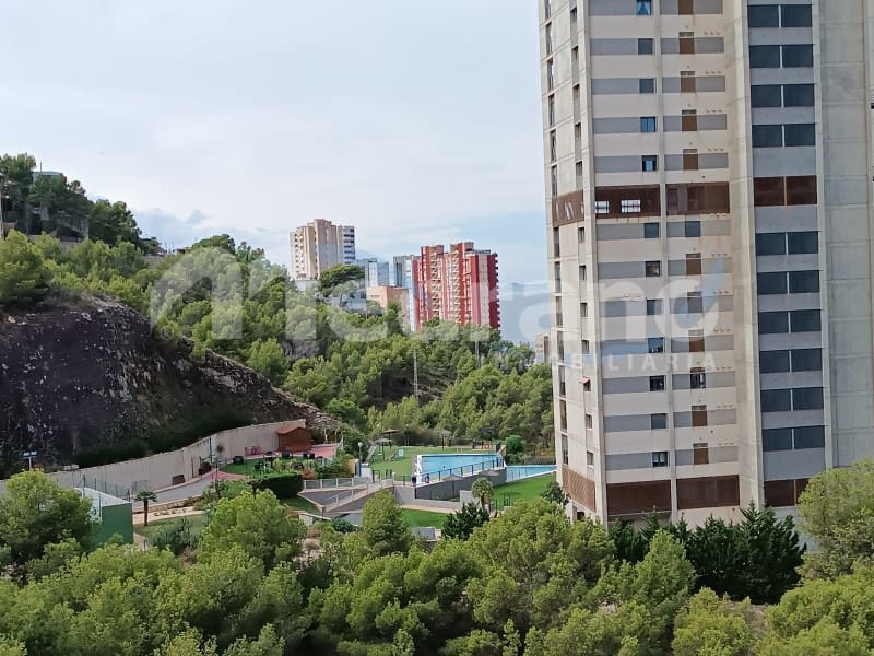 Appartement de 2 chambres à louer à Benidorm avec piscine garage - 950 € (Ref: 10130259)