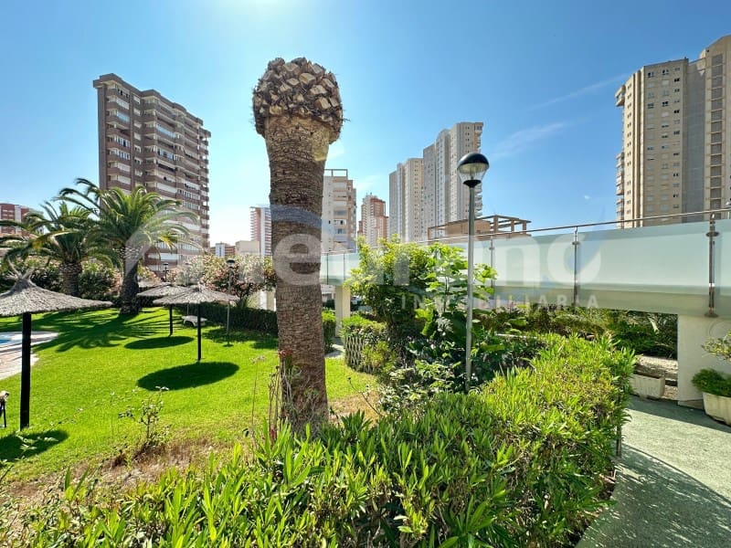 3 soveværelse Lejlighed til salg i Benidorm med swimmingpool garage - € 475.000 (Ref: 10130262)
