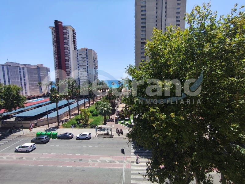 Apartamento de 1 habitación en Benidorm en venta - 258.000 € (Ref: 10131407)